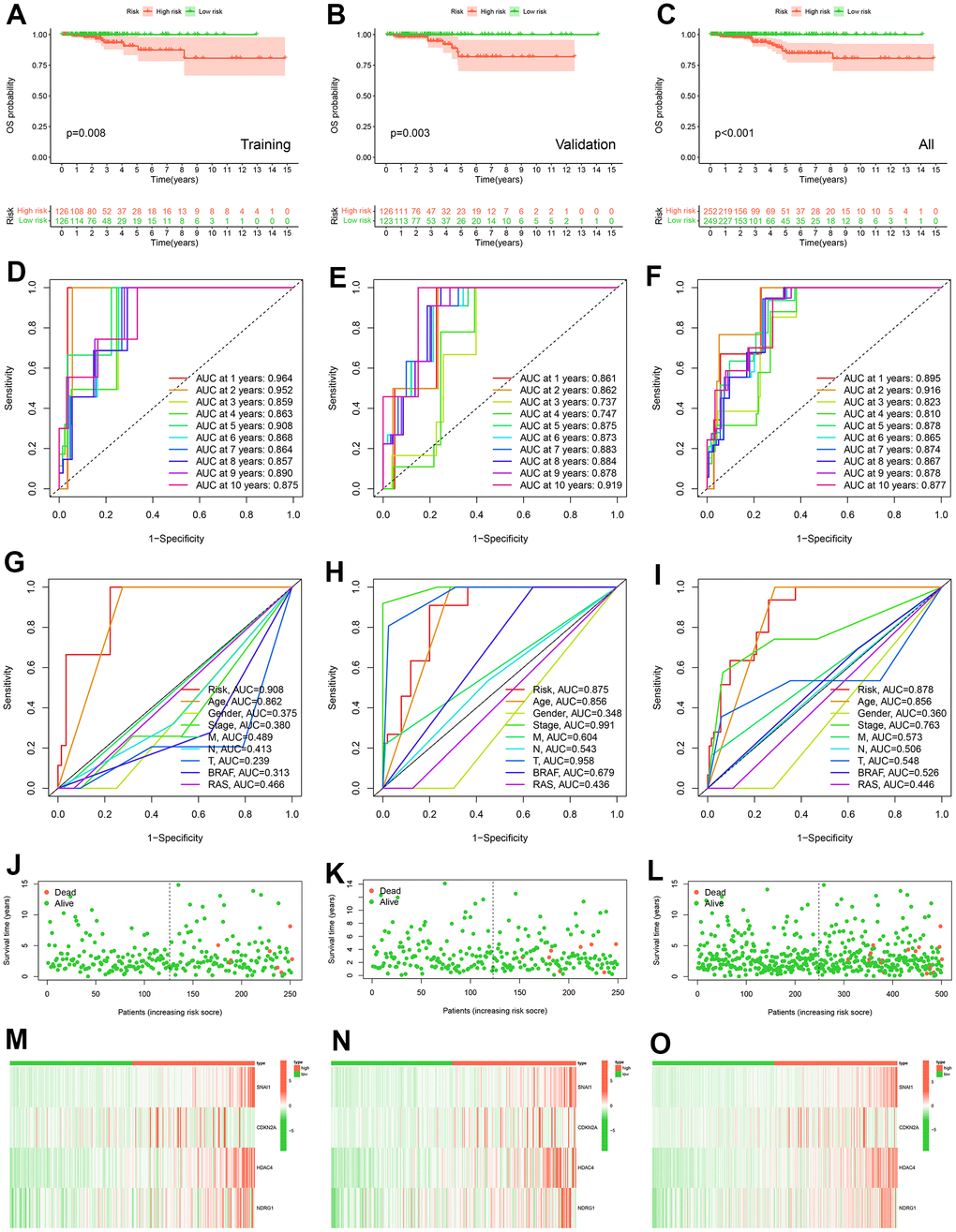 Construction and validation of prognostic models. K-M curve of OS probability between high and low risk groups in training cohort (A), validation cohort (B) and all TCGA-THCA (C). The ROC curves of prognostic signature of prognostic model in 1-10 years in training cohort (D), in validation cohort (E) and in all TCGA-THCA cohort (F). The ROC curves of risk score, age, gender, stage, M, N, T, BRAF, and RAS in 5 years in training cohort (G), in validation cohort (H) and in all TCGA-THCA cohort (I). Survival status of patients in the training cohort (J), validation cohort (K) and all TCGA-THCA (L). Expression heatmap of prognostic model genes in the training cohort (M), validation cohort (N) and all TCGA-THCA (O).