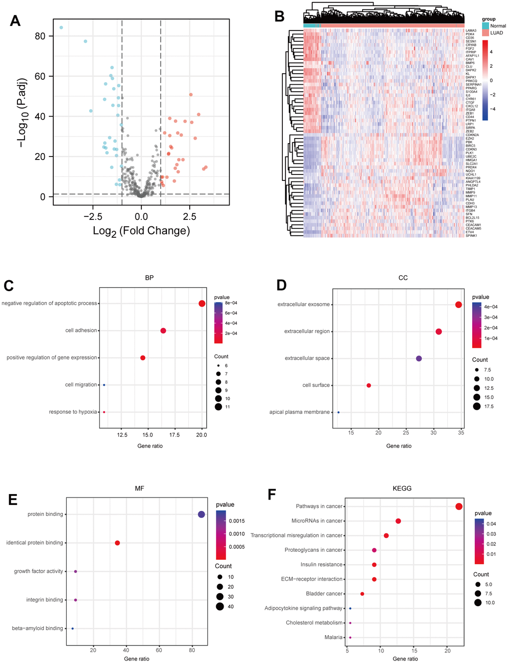 Identification of ARGs in LUAD. (A) Volcano plot anoikis-related genes in TCGA dataset. |LogFC|>1 and adj.P-value B) Heatmap of the ARGs in TCGA dataset. (C) BP analysis of ARGs. (D) CC analysis of ARGs. (E) MF analysis of ARGs. (F) KEGG analysis of ARGs. P-value 