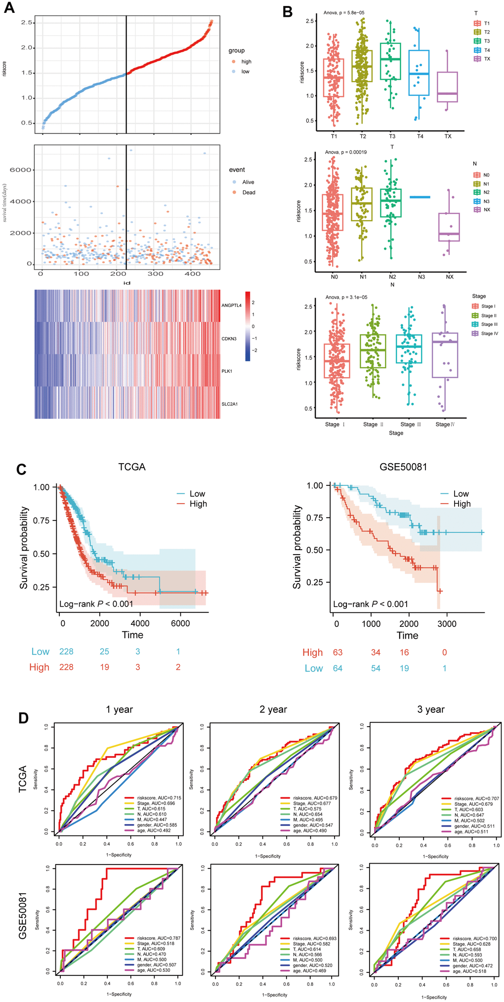 Evaluation of the 4 ARGs-based prognostic signature. (A) The distribution of risk score, patients' survival and status for LUAD. The black dotted line divided patients into high-risk group and low-risk group. (B) The box plot shows the relationship between riskscore and T, N and stage in TCGA. (C) Kaplan-Meier survival analysis of patients stratified by the median risk score in TCGA and GSE50081. (D) The ROC curve was applied to compare the predictive power of riskscore and clinical features in TCGA and GSE50081.