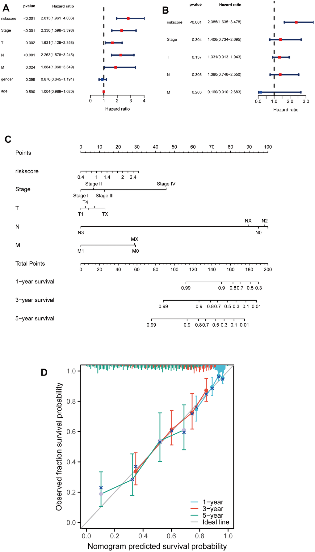 Developing a nomogram for predicting LUAD patients' survival probabilities. (A, B) Univariate and multivariate analysis of clinical features and riskscore on LUAD prognosis. (C) Nomogram for the prediction of the LUAD patients’ survival probability at 1, 3 and 5 years. (D) Calibration curves of TCGA dataset at 1, 3 and 5 years.