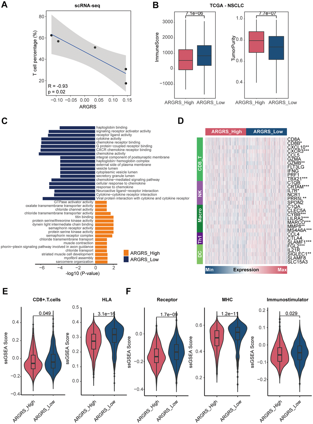 Patients with higher ARGRS exhibit low immune infiltration. (A) The correlation between the fraction of T cells and ARGRS levels at the single-cell level. X-axis: the fraction of T cells of each NSCLC patient. Y-axis: the median levels of ARGRS of each NSCLC patient. (B) Boxplot showing the levels of ImmuneScore (left) and TumorPurity (right) between the ARGRS-high and low groups in the TCGA NSCLC cohort. (C) GO and KEGG analyses of genes up-regulated in the ARGRS-high and low groups in the TCGA NSCLC cohort. (D) Heatmap showing the levels of immunological markers between ARGRS-high and low groups in the TCGA NSCLC cohort. (E, F) Comparison of immunological signatures between ARGRS-high and low groups in the TCGA NSCLC cohort.