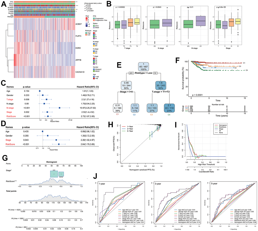 Analysis of RiskScore combined with clinicopathological and construction of the nomogram. (A) Relationship between model gene expression and clinicopathological features; (B) Differences in RiskScore between clinicopathological grades; (C) Results of single-factor Cox analysis of clinicopathological features; (D) Multivariate Cox analysis results of clinicopathological features; (E) Using RiskScore and clinicopathological features to construct the survival decision tree; (F) Differences in survival rates among the four subgroups; (G) RiskScore combined with clinicopathological features to establish a nomogram; (H) Calibration curves for 1, 3 and 5 years of the nomogram; (I) Decision curve of the nomogram; (J) The ROC curves of the nomogram and a variety of clinicopathological features at 1, 3 and 5 years.