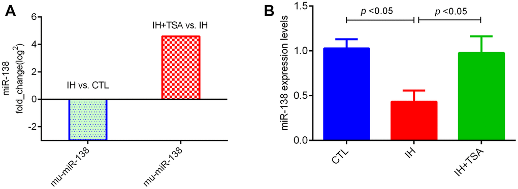 Effect of IH and TSA on miR-138 expression in vitro. (A) RNA sequence results demonstrate the fold