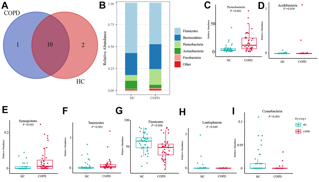 Taxonomy comparison of gut microbiome at phylum level. (A) Phyla identified in HC and COPD group. (B) Top 5 phyla in two groups. (C–I) Differential phyla between two groups.