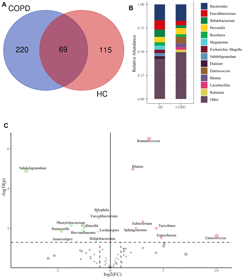 Taxonomy comparison of gut microbiome at genus level. (A) Genera identified in HC and COPD group. (B) Top 10 genera in two groups. (C) Differential genera between two groups. FC: Fold change.