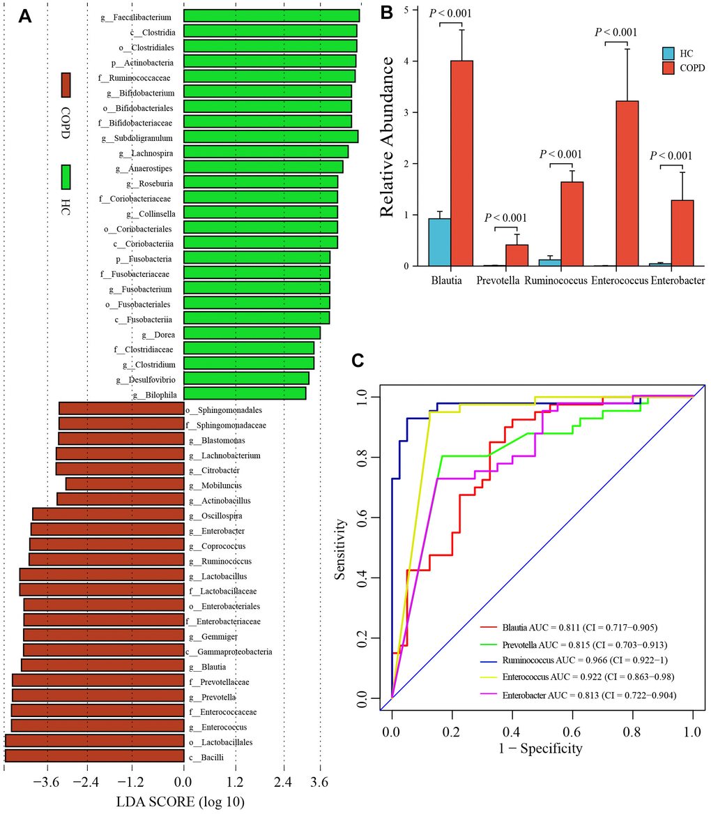 Identification of biomarker’s taxa. (A) LefSe determined 14 floras at genus levels were markedly enriched in the COPD group. (B) Wilcoxon rank-sum test showed the abundance of 5 floras was significantly increased in COPD group among 14 floras. (C) The ROC of 5 biomarker’s taxa. LefSe: The Linear discriminant analysis (LDA) effect size; ROC: The receiver operating characteristic curve; AUC, the area under the ROC.