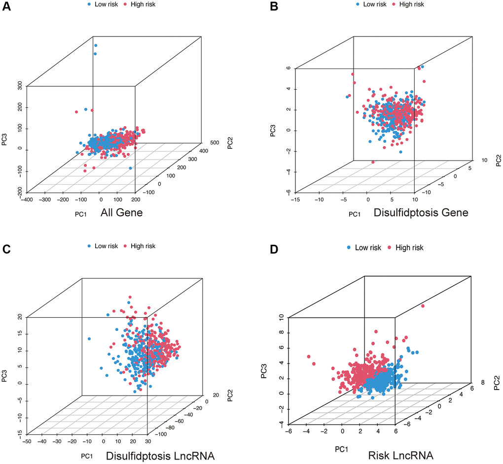 PCA analysis. All genes (A); Disulfidptosis genes (B); Disulfidptosis lncRNAs (C); Risk lncRNAs (D).