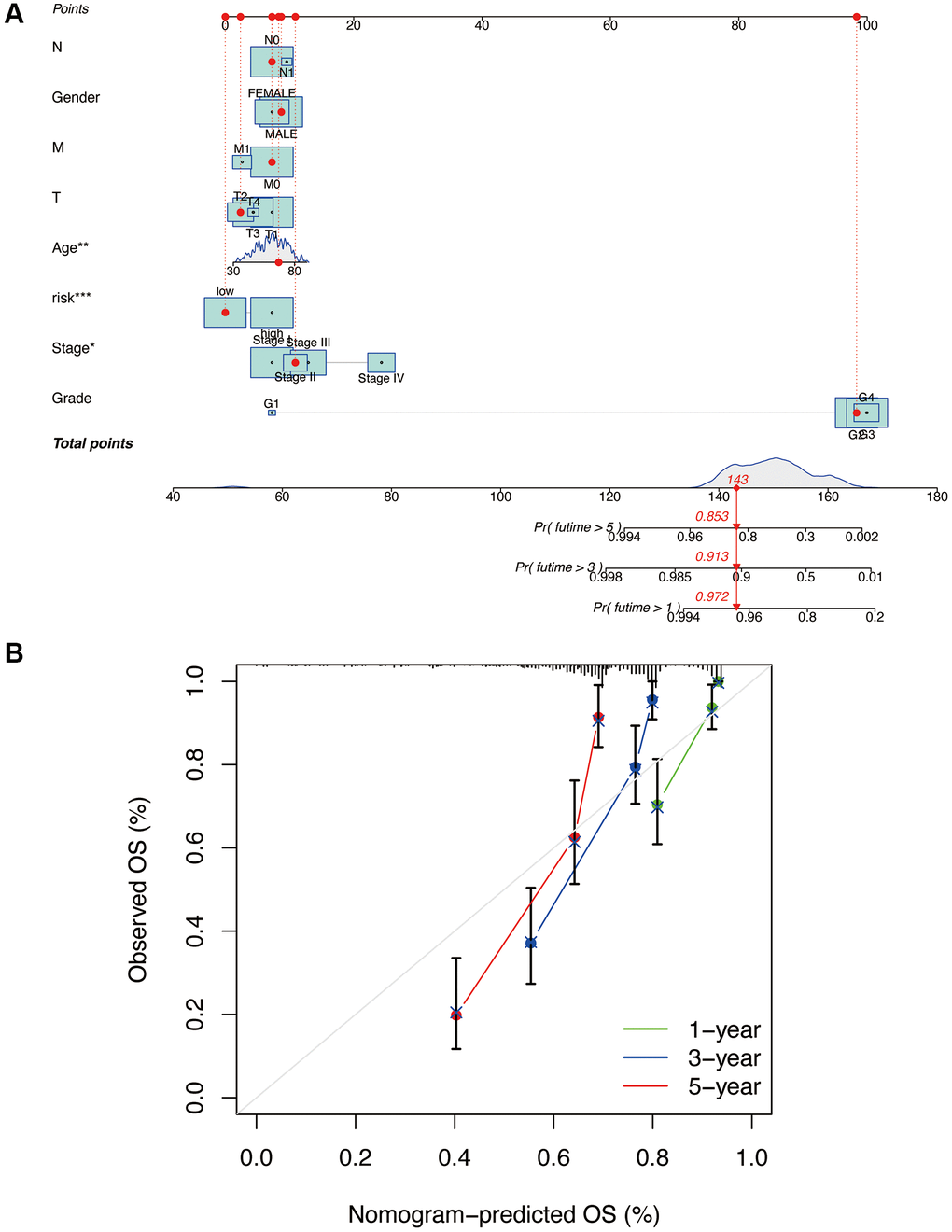 Construction and validation of nomogram column line plots constructed from risk models. A nomogram integrates risk scores and clinical characteristics to predict overall survival at 1, 3, and 5 years (A). Calibration curves for overall survival at 1, 3, and 5 years (B). *p **p ***p 