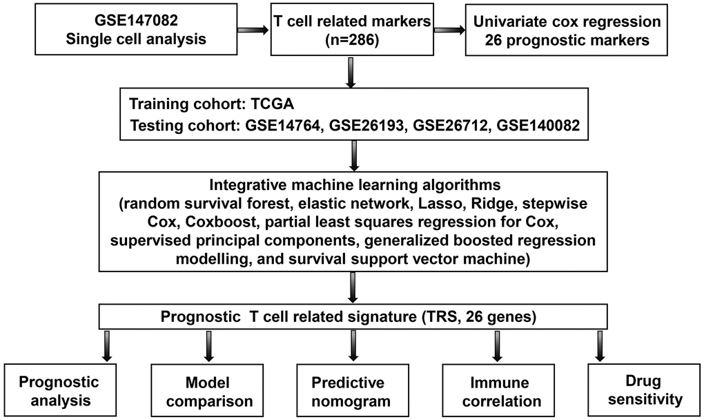 Workflow of the current study.