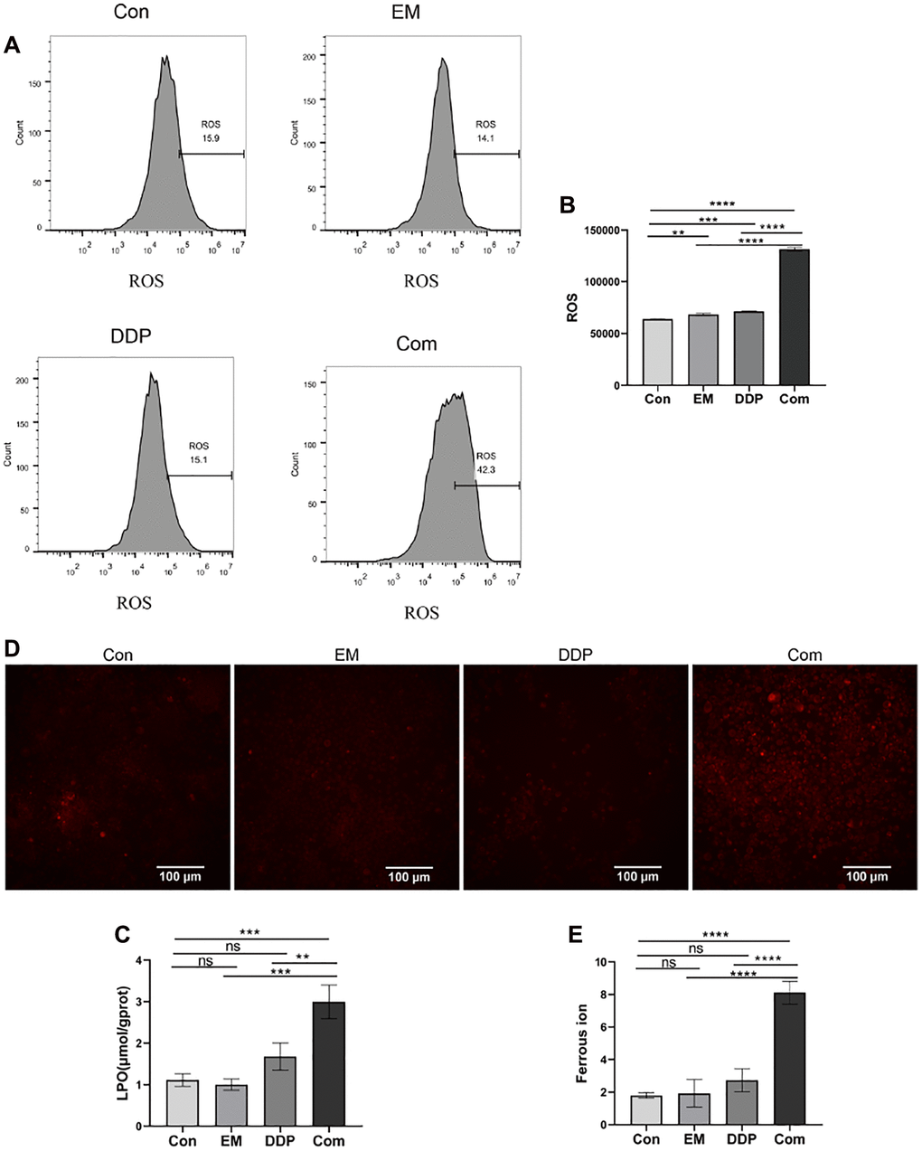 The influence of EM combined with DDP on the indexes related to iron death. (A) DCF fluorescence peak area plots of cells in each group. (B) Cells of each group ROS statistical results. (C) Results of LPO detection in cells of each group. (D) Fluorescence diagram of divalent iron ions in cells of each group. (E) Statistical results of the average fluorescence intensity of cells in each group. All experiments were reread three times, nsp > 0.05, **P ***P ****P 