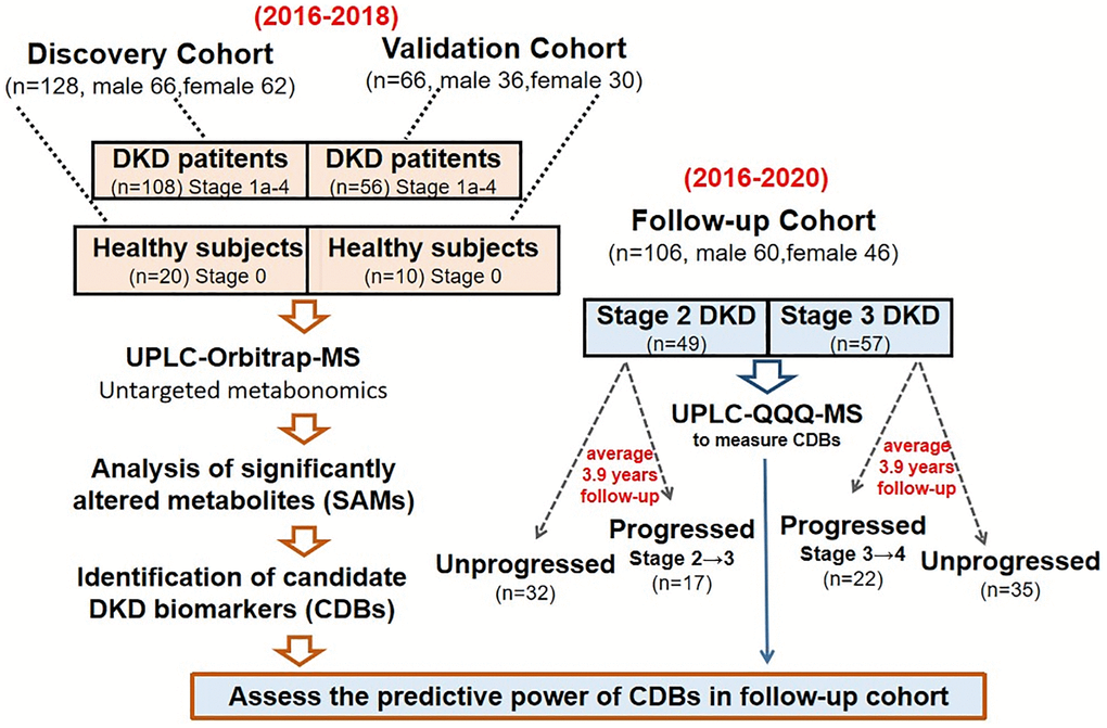 The pipeline of this study. Three independent cohorts were recruited to perform the metabolite biomarker in discovery, validation and follow-up groups, respectively.