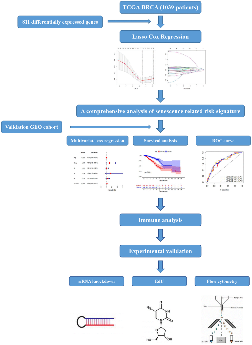 The flowchart of our study.