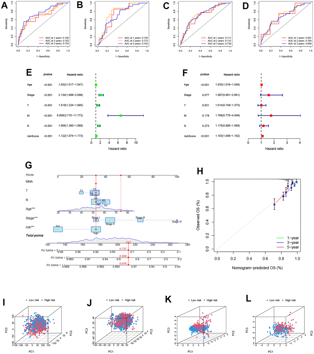 Identification of the reliability of the model. (A–D) The ROC curve of patients’ survival over different years in the training, testing, all, and GEO cohort showed that the model had a potent predicting ability. (E, F) Univariate and Multivariate Cox regression revealed that the risk score was an independent prognostic factor in BRCA patients. (G) Nomogram for predicting overall survival. (H) The calibration curves for 1-,3-, and 5-year OS. (I–L) The PCA 3D scatterplot of sample distribution is based on all genes, senescence-related genes, and model senescence-related genes in TCGA and GEO, respectively.