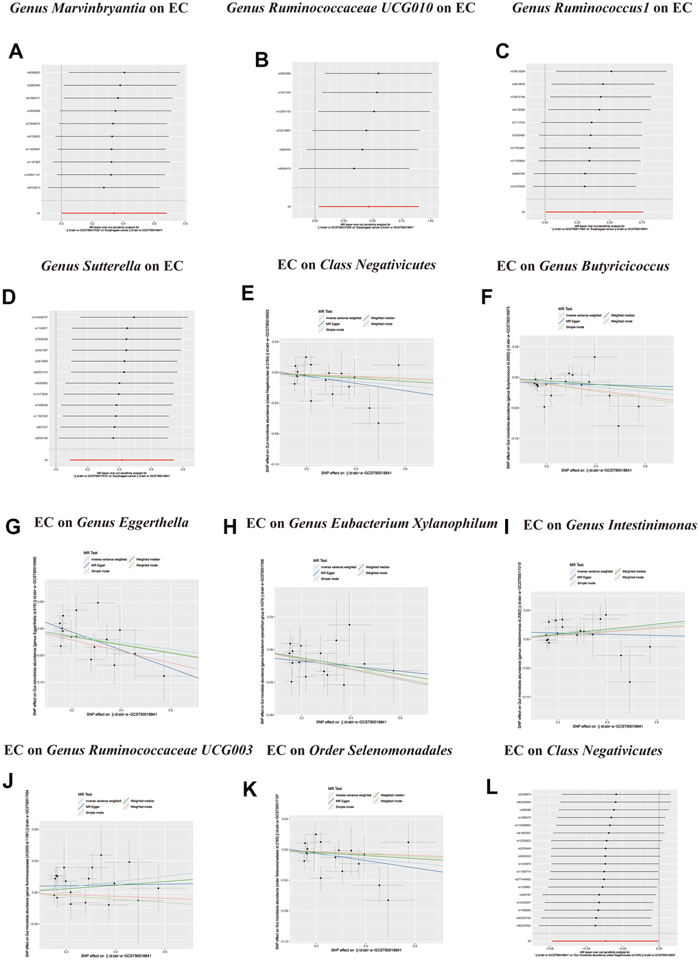 (A–D) Leave-one-out analysis for the impact of individual SNPs on the association between GM and Esophageal cancer risk. (E–K) In reverse MR analysis, The scatter plots for association between Esophageal cancer and gut microbiota. (L) In reverse MR analysis, Plots for “leave-one-out” analysis for causal effect of Esophageal cancer on gut microbiota risk.