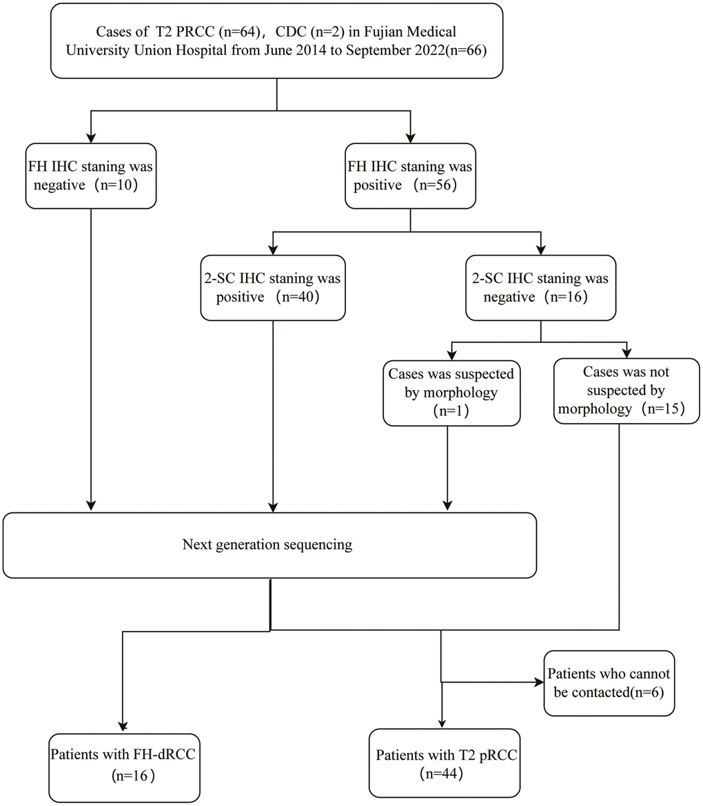 Flowchart of patient selection.