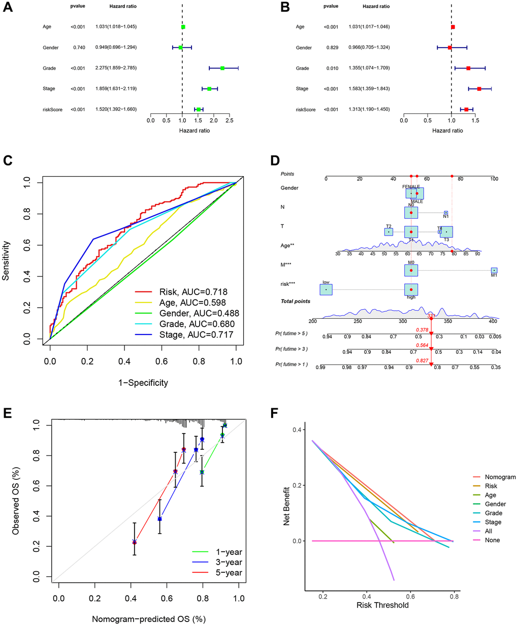 Analysis of the DRG risk score model and clinical indicator. (A) Univariate regression analyses demonstrated the risk model as an independent prognostic indicator. (B) Multivariate regression analyses demonstrated the risk model as an independent prognostic indicator. (C) The clinROC curves with risk score models and common clinical indicators. (D) The nomogram predicted patient OS in the 1st, 3rd, and 5th years. (E) The calibration curves displayed the accuracy of the nomogram in the 1st, 3rd, and 5th years. (F) The DCA analysis of different indicators.