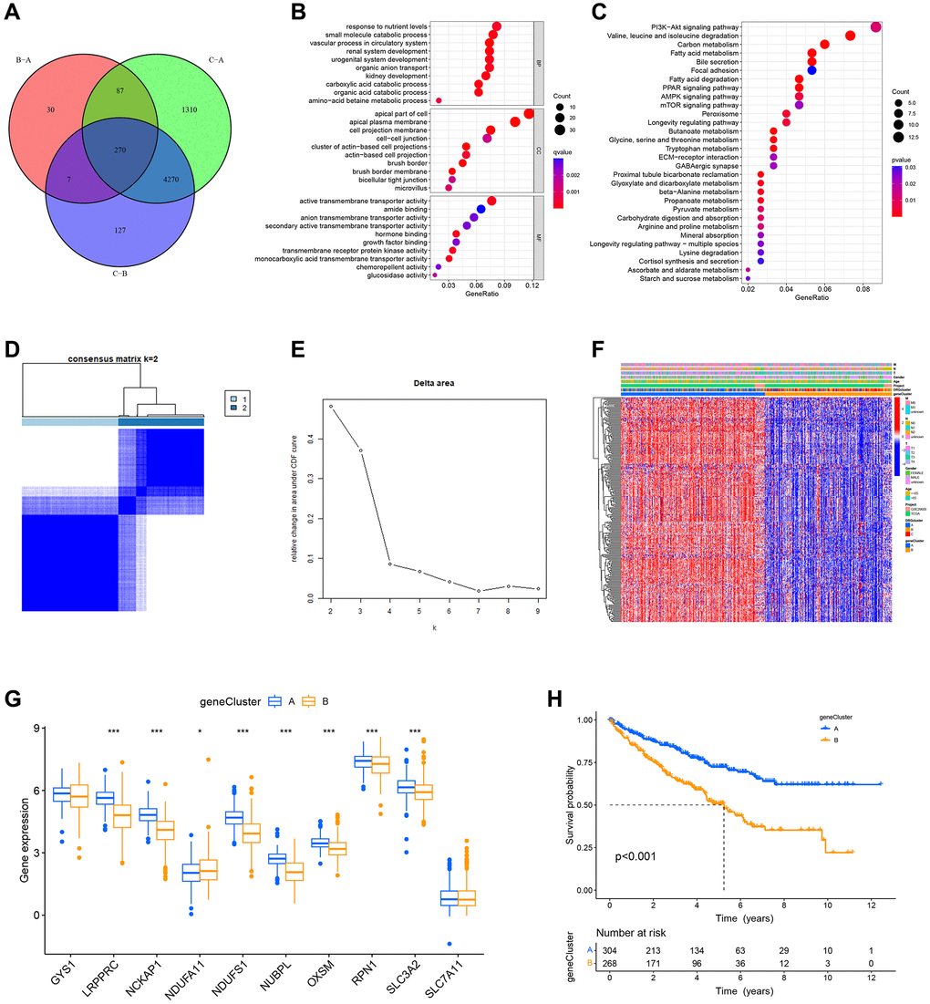 Identification of DRG-related genetic subtypes and their prognostic value. (A) Venn plot of differentially expressed genes between molecular subtypes. (B, C) GO and KEGG enrichment analysis of DEGs. (D, E) Two genetic subtypes (k = 2) were identified by consensus clustering analysis based on the expression of 268 prognosis-related DEGs. (F) Heat map illustrating the gene landscape in genetic subtypes A and B and its association with clinical characteristics. (G) DRGs are differentially expressed in different genetic subtypes. (H) Survival analysis of two genetic subtypes.