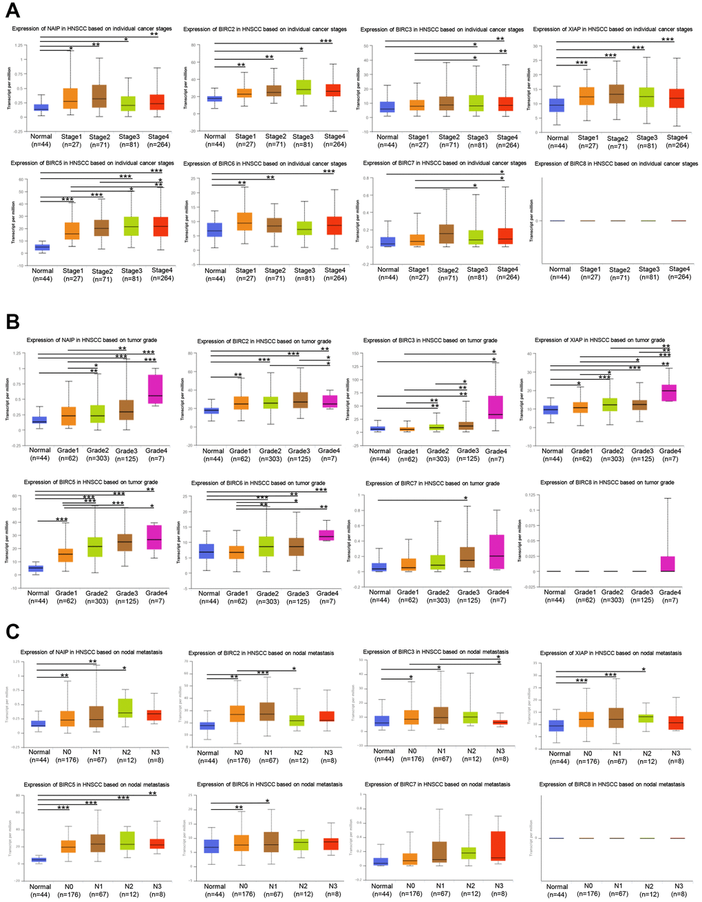 Association of stage, grade, and lymph node metastasis of HNSCC with IAP family members. (A) Association between stage of HNSCC patients and the mRNA expression levels of the IAP family. (B) Correlation between the grade of HNSCC patients and the mRNA levels of the IAP family. (C) The correlation between lymph node metastases and levels of IAP family mRNA expression in HNSCC patients. *P P P 