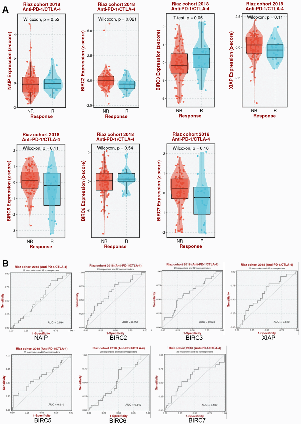 Association between IAP family members and immunotherapy efficacy. (A) Comparative analysis of the IAP family members levels in Riaz cohorts of anti-PD-1/CTLA-4 responders and non-responders. (B) Patients in the Riaz cohorts’ ROC curve for the IAP family.