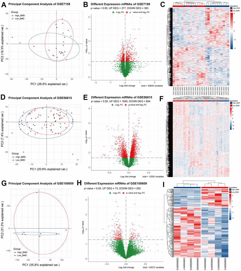 The difference analysis results of the three datasets. (A–C) PCA dimensionality reduction analysis, difference analysis volcano map and bidirectional clustering heat map of differential genes for GSE7158. (D–F) PCA dimensionality reduction analysis, difference analysis volcano map and bidirectional clustering heat map of differential genes for GSE56815. (G–I) PCA dimensionality reduction analysis, difference analysis volcano map and bidirectional clustering heat map of differential genes for GSE100609.