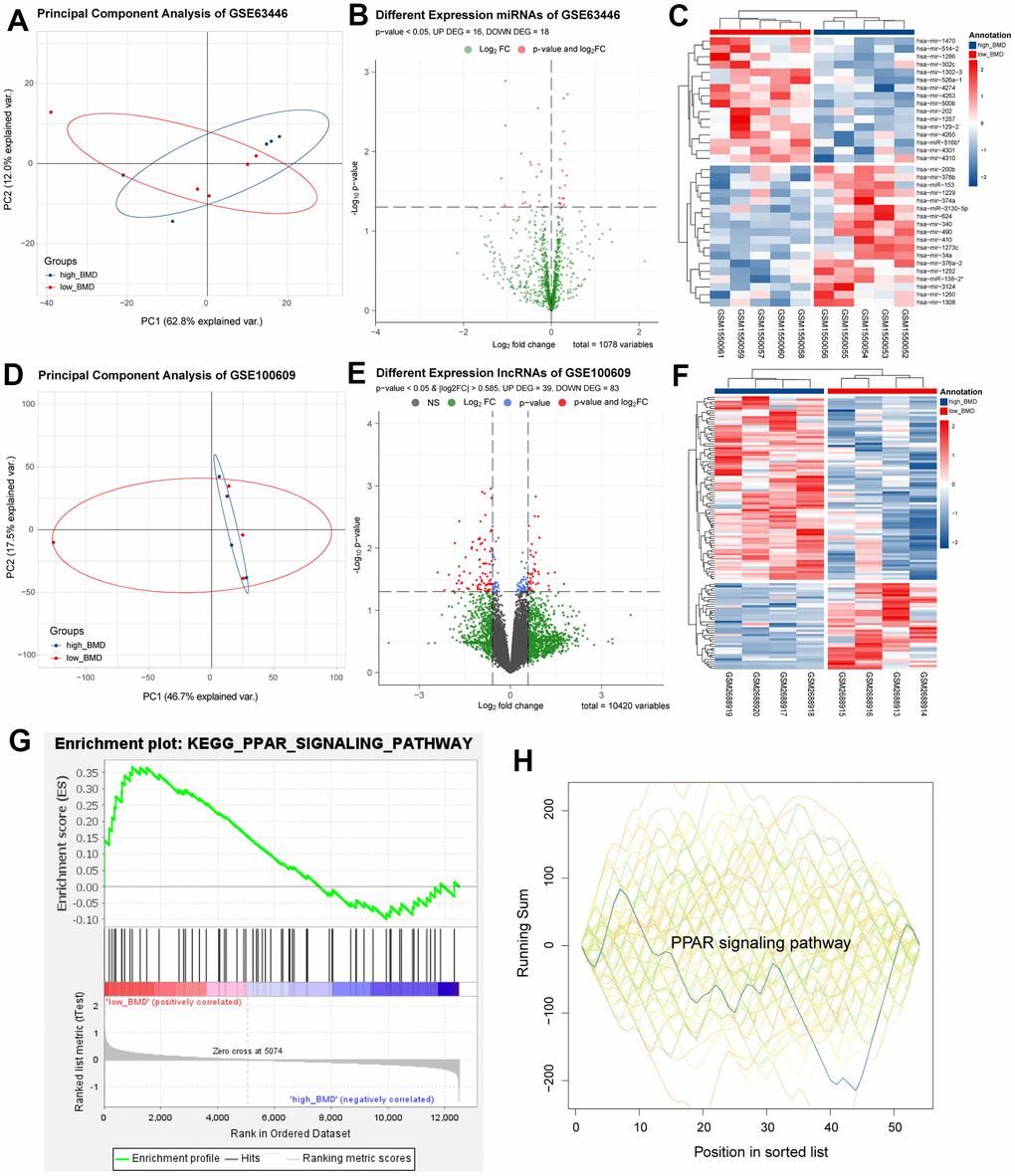 Differentially expressed mRNA and lncRNA analysis. (A–C) Differentially expressed miRNA. (D–F) Differentially expressed lncRNA. (G, H) Common pathways obtained by GSEA analysis of mRNA and miRNA, respectively.