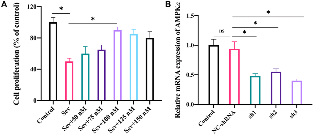 The optimum concentration of LRG was investigated and the knockdown cell model of AMPKa was constructed in H19-7 cell line. (A) The optimum concentration of LRG was investigated in cell level by incubating cells with different concentrations of LRG (0, 50, 75, 100, 125, and 150 nM); (B) Knockdown of AMPKa in cell level was constructed. *p 