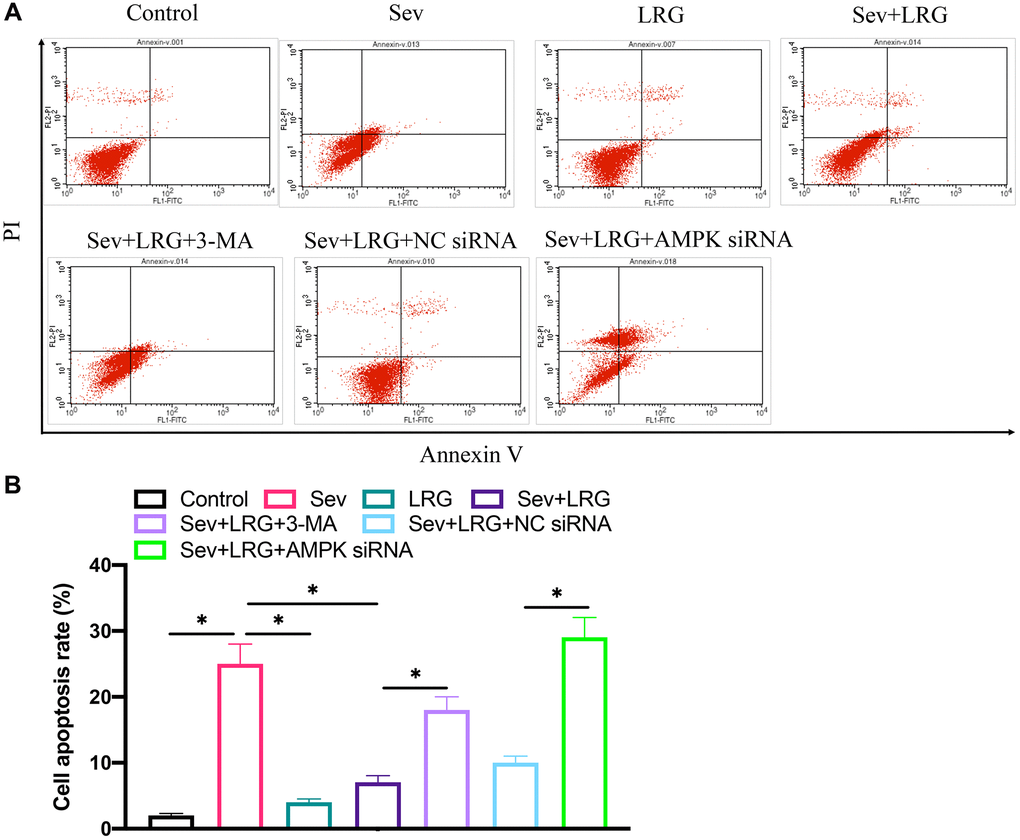 Cell apoptosis was detected after LRG and AMPK siRNA treatment in H19-7 cell line. (A) Cell apoptosis was detected after LRG and AMPK siRNA treatment; (B) Cell apoptosis was analyzed.