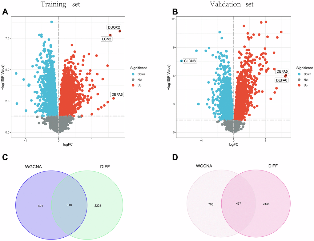 Identification of DEGs. (A) and (B) show the Volcano plot for DEGs between healthy controls and UC in the training and test groups, respectively. (C) and (D) Venn diagrams for intersections of DEGs and the WGCNA module in the training and test groups.
