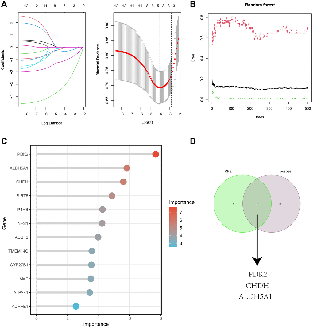 (A) Adjustment of feature selection in the minimum absolute shrinkage and selection operator model (lasso). (B) Random forest error rate versus the number of classification trees. (C) The top 12 relatively important genes. (D) Three algorithmic Venn diagram screening genes.