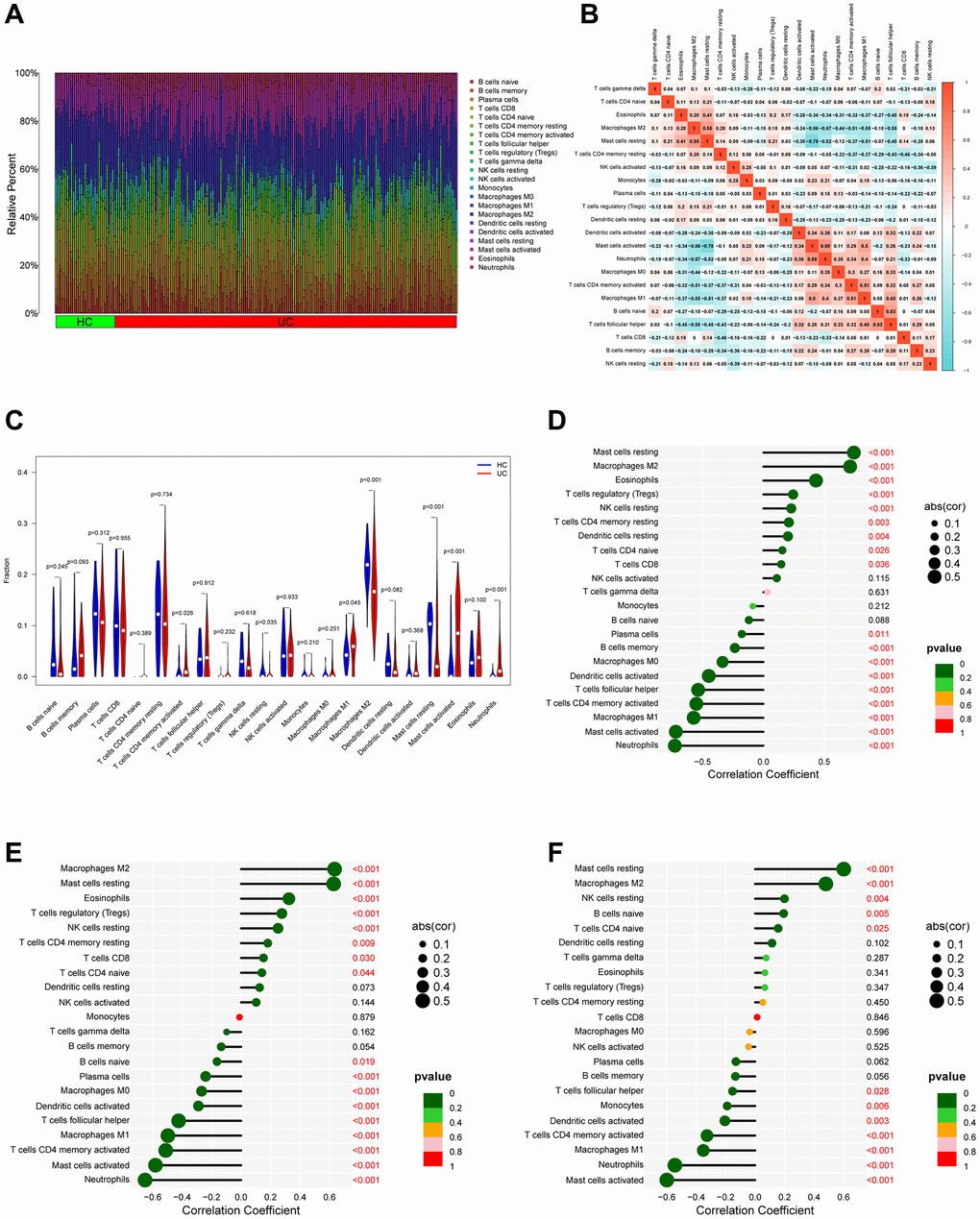 Analysis of immune infiltration. (A) Bar plot bar plot depicting the 22 subpopulations of immune cells in UC and healthy control (HC) samples. (B) Correlation heatmap of immune cells in UC samples. (C) Violin plot illustrating the varying proportions of immune cells between UC and normal control (NC). (D–F) Bubble plots demonstrate the relationship between immune cells and specific signature genes (PDK2, CHDH, and ALDH5A1).