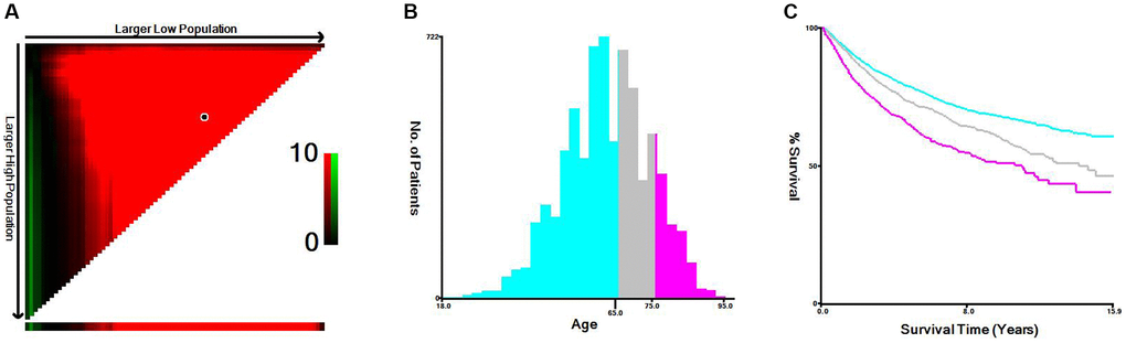 X-tile analysis of cancer-specific survival according to age at diagnosis. (A) X-tile plot of the age. (B) Cutoffs were depicted with histogram of the entire cohort. (C) Prognoses based on cutoffs are illustrated using Kaplan–Meier plots.