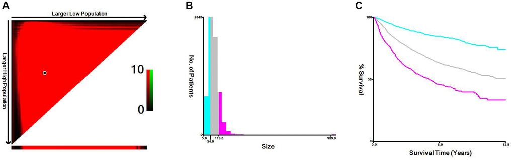 X-tile analysis of cancer-specific survival according to tumor size. (A) X-tile plot of tumor size. (B) Cutoffs were depicted with histogram of the entire cohort. (C) Prognoses based on cutoffs were illustrated using Kaplan–Meier plots.