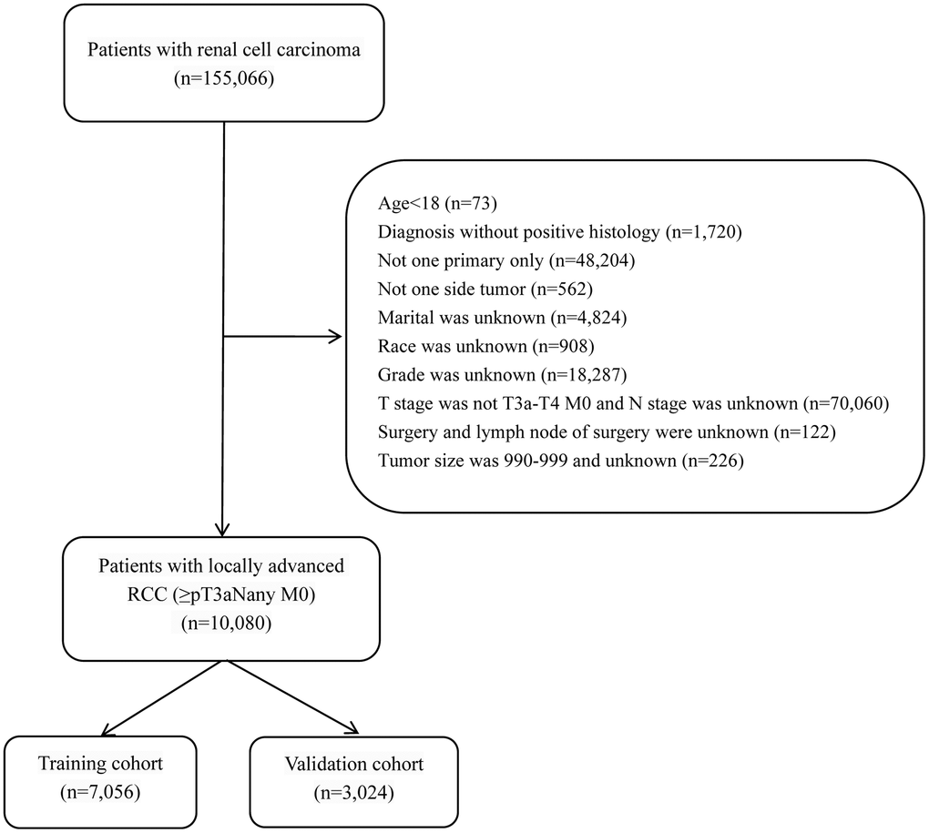 Flowchart displaying the extraction process of locally advanced RCC (≥pT3a Nany M0) cases in SEER database.