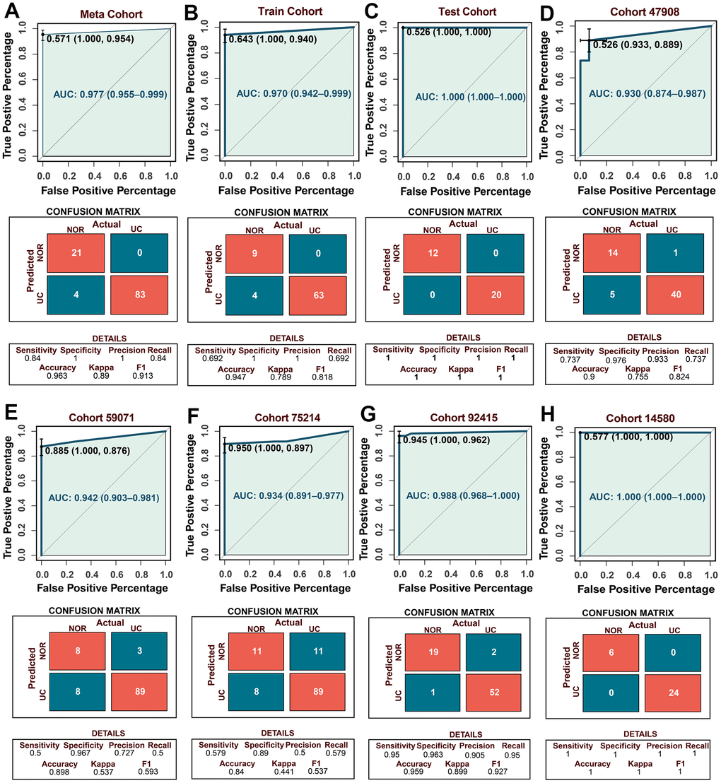 Establishment of the UC diagnostic model and verification of external independent cohort. (A–C) The predictive performance of the diagnostic model in the meta, training, and testing cohort. (D–H) The predictive performance of the diagnostic model in the external independent cohort. The confusion matrices showing the detailed results of discriminant analyses by UCRGs classifier model in five independent cohorts.