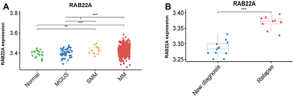 Differential analysis of expression level of RAB22A. (A) Differential expression analysis of RAB22A in normal people, MGUS, SMM and MM patients. (B) Differential expression of RAB22A in MSC of newly diagnosed and relapsed MM patients.