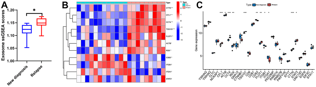 Relationship between MM disease state and exosomes secretion. (A) Exosome scores of MSCs in newly diagnosed and recurrent patients. (B, C) Heatmap and boxplot showed the expression level of exosome-related genes in MSCs of newly diagnosed and relapsed MM patients.