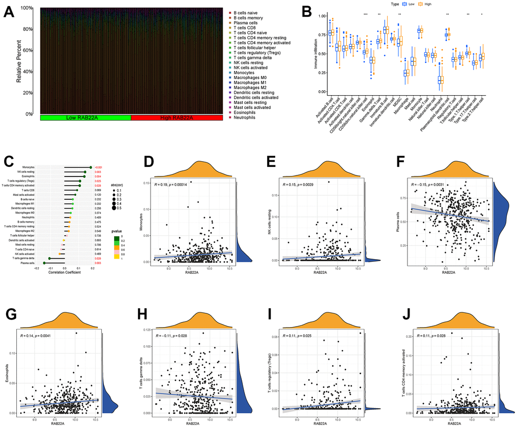 Relationship between RAB22A and immune cell infiltration. (A, B) Infiltration level of immune cells in high and low RAB22A groups. (C) Correlation between RAB22A and infiltration level of immune cells. (D–J) Scatterplots of RAB22A and immune cell infiltration.