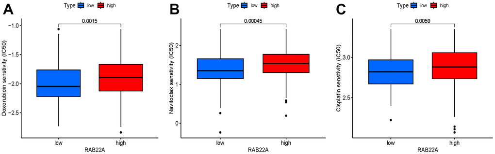 (A–C) Drugs with significantly different IC50 values between high and low RAB22A groups.