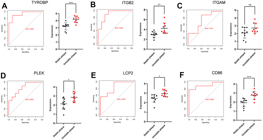 ROC curves and statistic of expression for TYROBP, ITGB2, ITGAM, PLEK, LCP2 and CD86. (A) The AUC for TYROBP was 0.933. (B) The AUC for ITGB2 was 0.900. (C) The AUC for ITGAM was 0.722. (D) The AUC for PLEK was 0.833. (E) The AUC for LCP2 was 0.844. (F) The AUC for CD86 was 0.900.