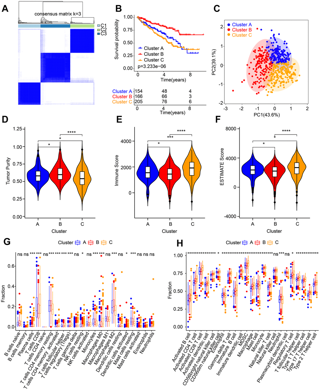 Molecular subtypes analysis and immune microenvironment landscape characterization. (A) Identification of the molecular subtypes for ccRCC. (B) Clinical prognostic analysis of Cluster A, Cluster B and Cluster C. (C) PCA score plot shows a significant distribution pattern of patients in Cluster A, Cluster B and Cluster C. (D–F) Tumor purity, immune and ESTIMATE scores. The proportion of immune cells calculated by (G) CIBERSORT and (H) ssGSEA.