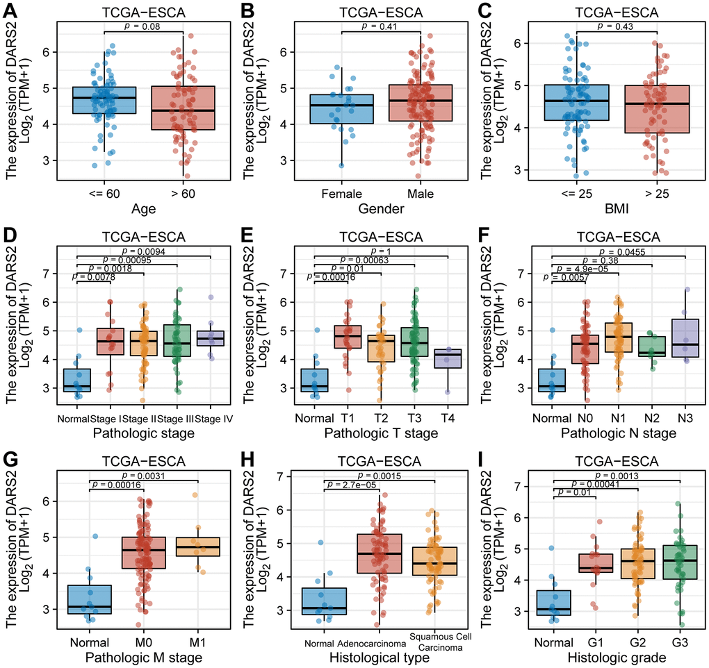 The correlation between DARS2 expression and clinicopathological parameters in patients with esophageal carcinoma (ESCA). The correlation between the expression level of DARS2 and (A) age, (B) gender, (C) BMI, (D) pathologic stage, (E) T stage, (F) N stage, (G) M stage, (H) histological staging and (I) histologic grade.