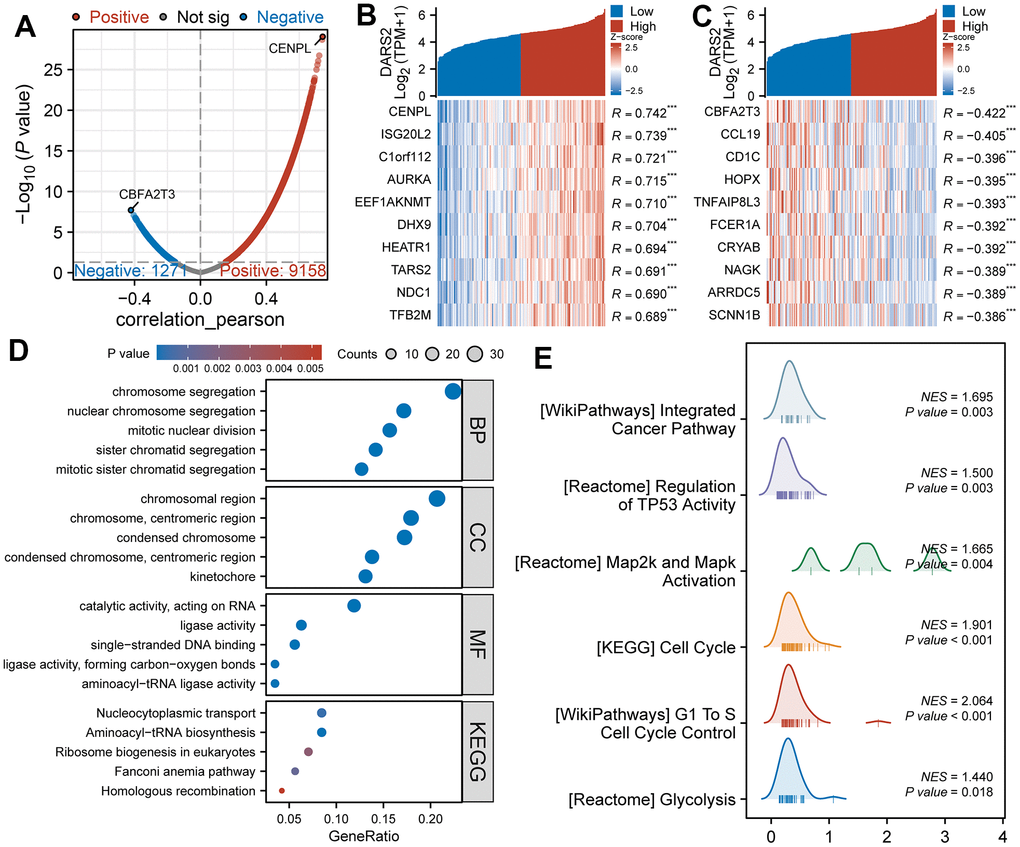 Functional enrichment analysis of DARS2 in ESCA. (A) The volcano plot exhibits the genes significantly correlated with DARS2 expression in the TCGA ESCA dataset. (B, C) Heatmap was used to visually display the top 10 most significant genes positively and negatively correlated with DARS2 expression. (D) Enrichment analysis was performed on co-expression genes of DARS2 using Gene Ontology (GO) terms and the Kyoto Encyclopedia of Genes and Genomes (KEGG) pathway. (E) GSEA analysis revealed DARS2 related pathways. *p 