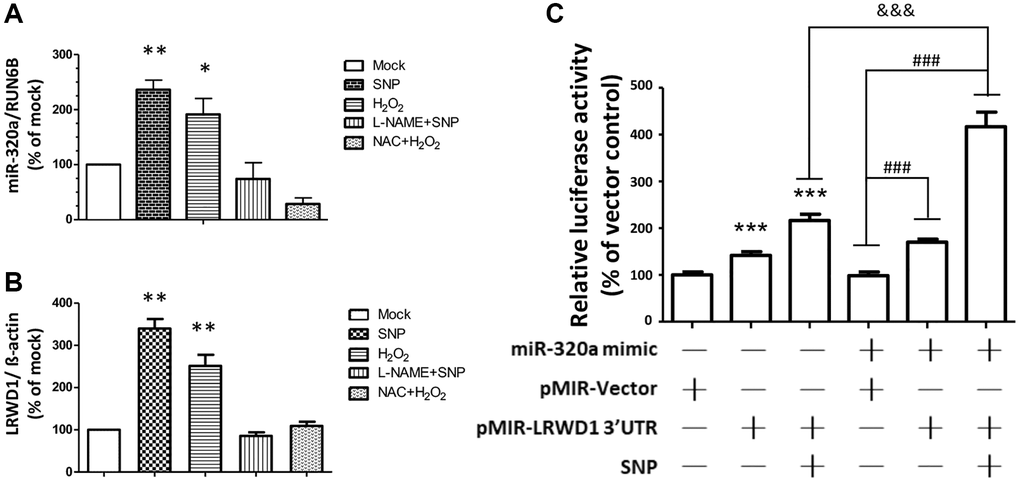 LRWD1 and miR-320a expression and their regulatory effect in response to oxidative stress. The gene expression of (A) miR-320a and (B) LRWD1 responding to the oxidative stress OH- (H2O2), NO donor (SNP), and the individual inhibitor treatments. (C) The activity of LRWD1 stimulated by miR-320 mimic and SNP in NT2D1 cells (***p ###p &&&p 