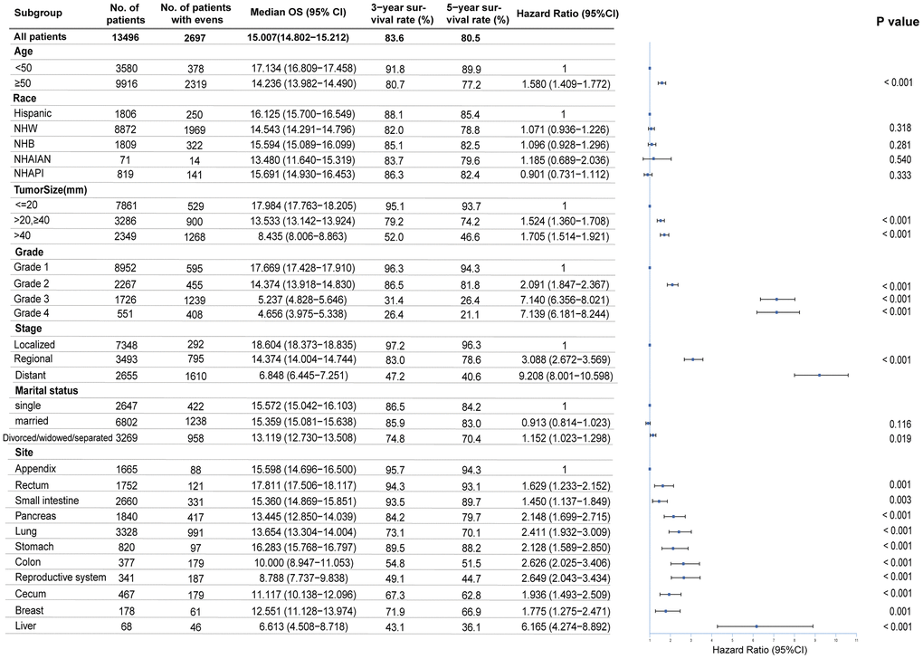 Multivariable regression analysis for female neuroendocrine neoplasms (fNENs). OS, overall survival; NHW, Non-Hispanic White; NHB, Non-Hispanic Black; NHAIAN, Non-Hispanic American Indian/Alaska Native; NHAPI, Non-Hispanic Asian or Pacific Islander; mm, millimeter; Grade 1, Well differentiated; Grade 2, Moderately differentiated; Grade 3, Poorly differentiated; Grade 4, Undifferentiated, anaplastic.