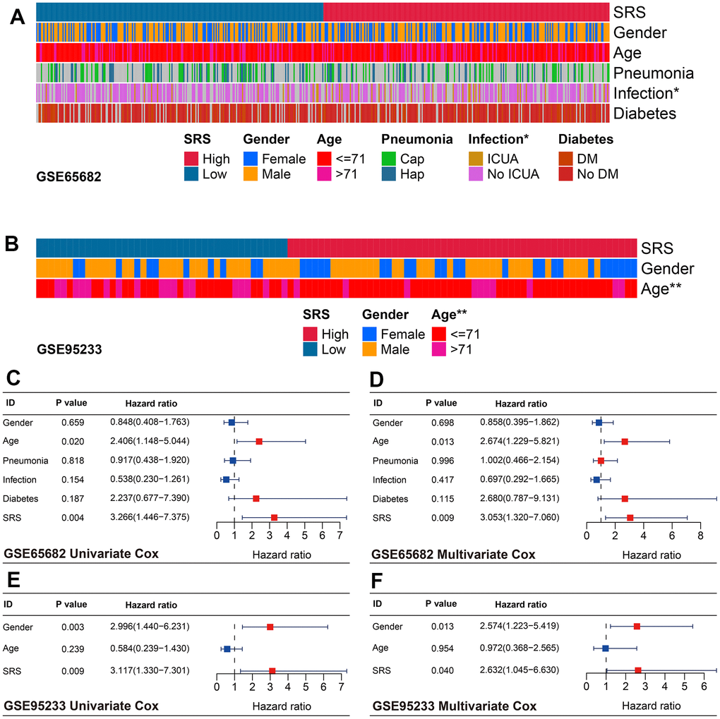 Association between SRS and clinical features in sepsis. (A) SRS was associated with ICU infection condition in the training cohort. (B) SRS was linked with age in the GSE95233 cohort. (C, D) SRS was an independent predictor of prognosis in both univariate (C) and multivariate (D) Cox analyses in the training cohort. (E, F) SRS was an independent predictor of prognosis in both univariate (E) and multivariate (F) Cox analyses in the GSE95233 cohort. *P 