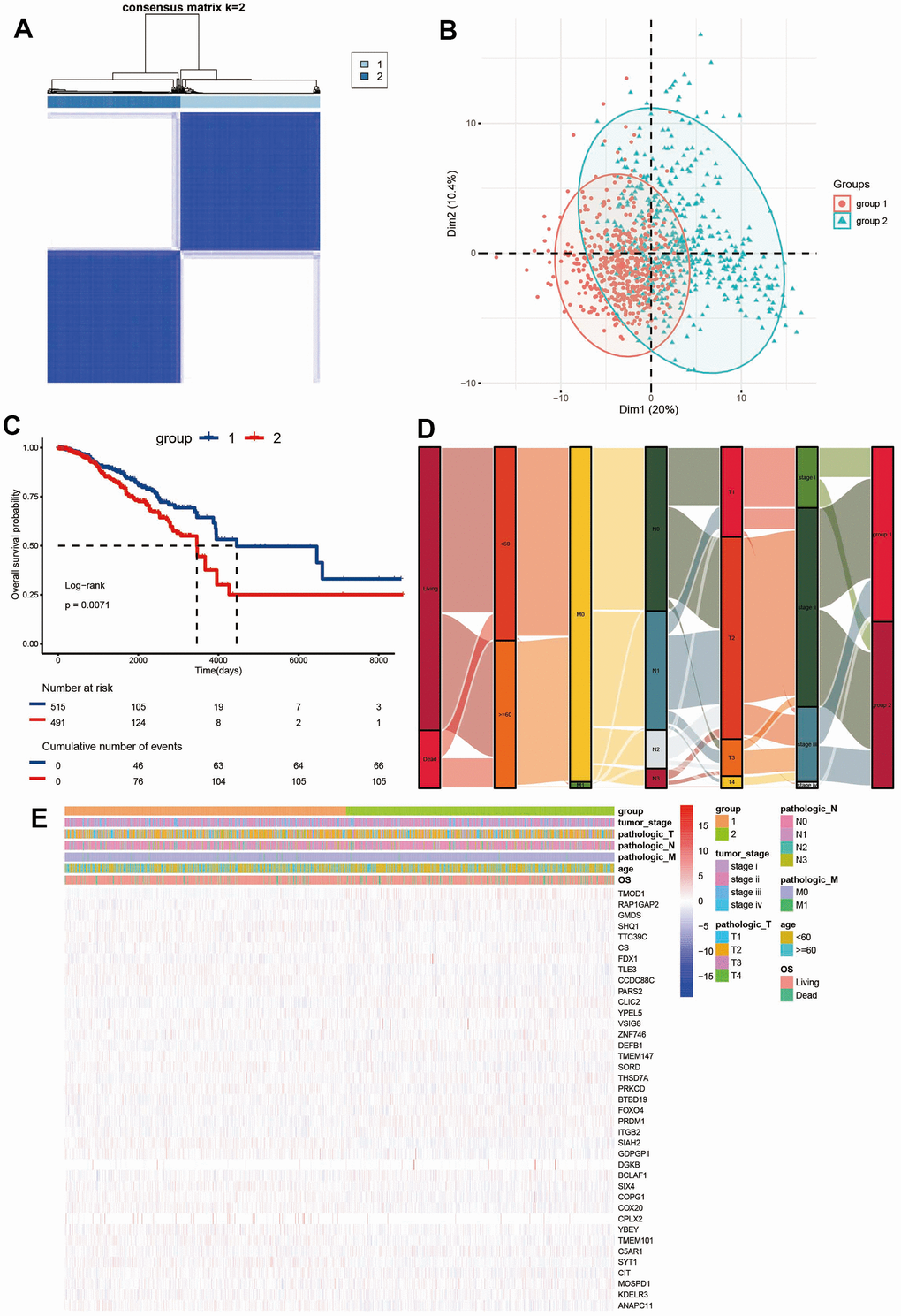 Consensus clustering of ADCP-related genes in BC. (A) The consensus matrices and (B) PCA analysis were performed to assess the stability of clustering and explore coagulation subtypes. (C) Kaplan-Meier curves and (D) an alluvial diagram demonstrated the association between ADCP groups, tumor stage, age, grade, and survival state. (E) Unsupervised clustering of all coagulation-related genes in TCGA cohorts.