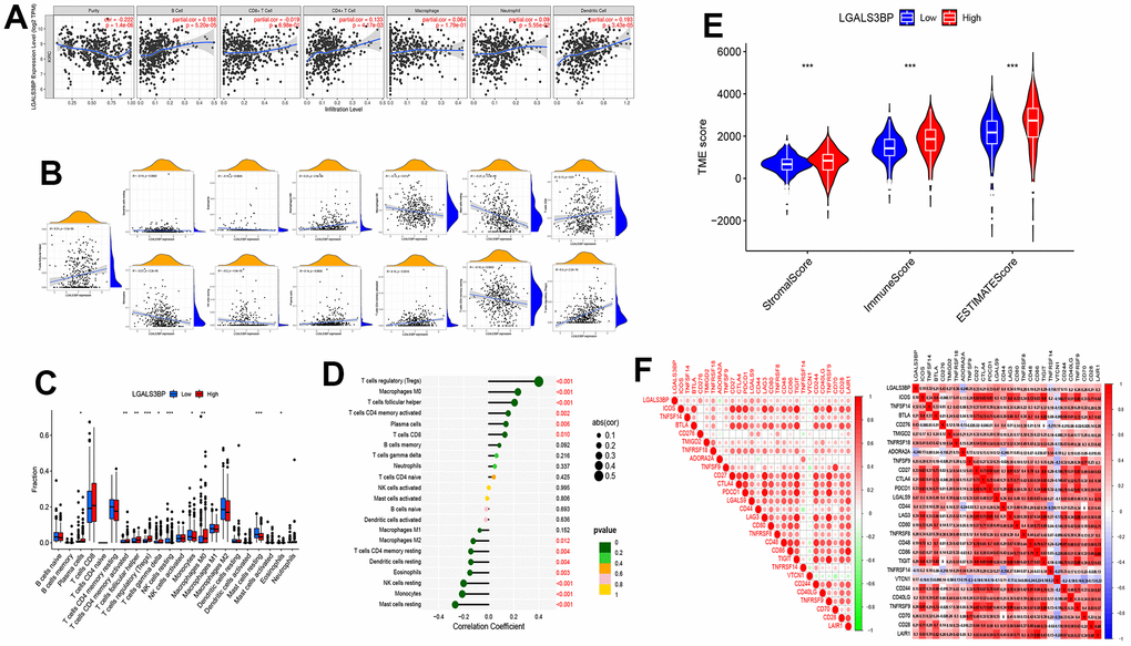 The expression of LGALS3BP was shown to be significantly linked to immune cell infiltration. (A–D) The relationship between immune cell infiltration and LGALS3BP. (E) The relationship between the TME score and LGALS3BP. (F) The relationship between the checkpoint and LGALS3BP.