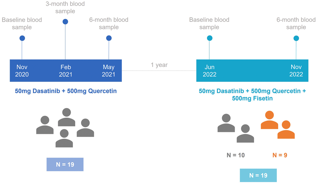 Timeline diagram for the study design. In the first study, 19 individuals were treated with 50mg of Dasatinib and 500mg of Quercetin. After one year, the second study started with 10 participants from the first study and 9 new participants. These individuals were treated with 50mg of Dasatinib, 500mg of Quercetin, and 500mg of Fisetin.
