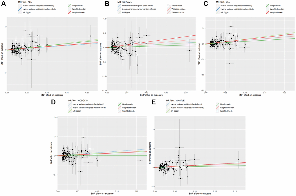 Six MR methods demonstrated the causal effect of TL on HDs. (A) Scatter plot illustrating the association between TL and ALL. (B) Scatter plot illustrating the association between TL and AML. (C) Scatter plot illustrating the association between TL and CLL. (D) Scatter plot illustrating the association between TL and HODGKIN. (E) Scatter plot illustrating the association between TL and MANTLE. Abbreviations: MR: Mendelian randomization; TL: telomere length; HDs: hematologic diseases; ALL: acute lymphocytic leukemia; AML: acute myeloid leukemia; CLL: chronic lymphocytic leukemia; HODGKIN: Hodgkin lymphoma; MANTLE: mantle cell lymphoma.