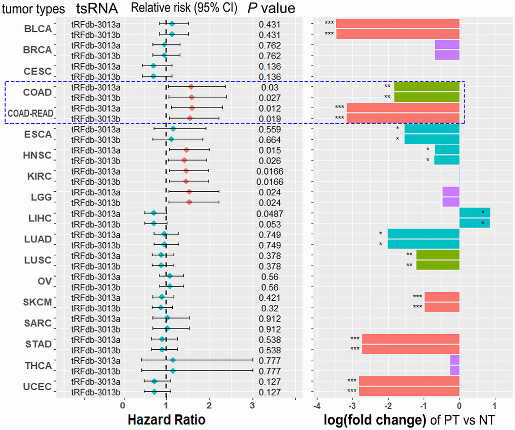 The clinical significances of tRFdb-3013a and tRFdb-3013b within multiple different types of tumors. (Left) The forest plots of Cox regression analysis with hazard ratio test based on tRFdb-3013a and tRFdb-3013b expressions within many types of tumors on TCGA dataset. (Right) The bar graph of differential expression analysis with a log2 fold-change test of tRFdb-3013a and tRFdb-3013b between primary tumor (TP) samples and non-tumor (NT) controls in multiple types of tumors.